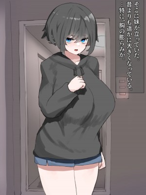 [Carnivora Canidae (ねこもくいぬか)] 無口な引きこもり妹をレイプしたらラブラブになった話_029