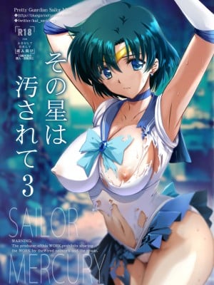 [ブルーガーネット (芹沢克己)] その星は汚されて3 (美少女戦士セーラームーン) [中国翻訳] [DL版]