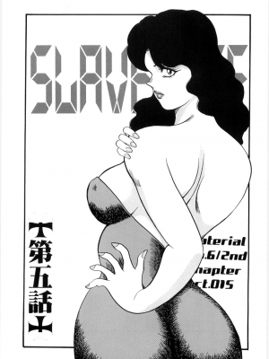 [まいなぁぼぉい] マテリアルNo.6 Part.2 スレイブ・サイト_XCuTCg_067