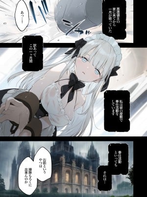 [TOZAN：BU (富士やま)] 籠絡令嬢メイド堕ち [無修正] [DL版]_02