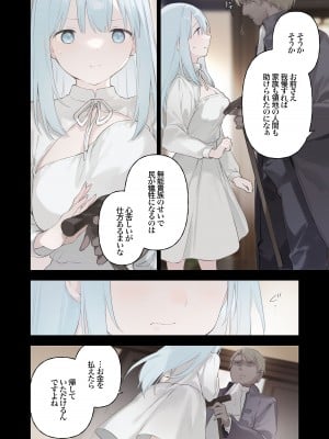 [TOZAN：BU (富士やま)] 籠絡令嬢メイド堕ち [無修正] [DL版]_19