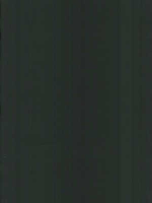 (C101)  [美顔器 (山田くろ)] あなたのオメガ (鬼滅の刃)｜屬於妳的Omega [中国翻訳]_02
