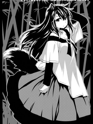 (C91) [Animal Passion (茹でピー)] オナズーリンとセンズリータイガー (東方Project)_23