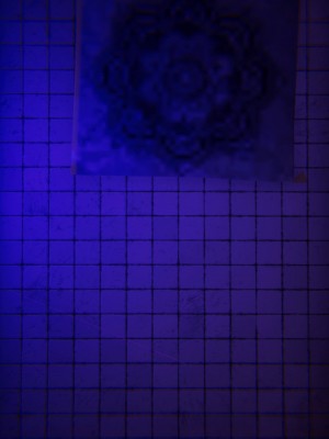 [phloxcc] 對魔忍-不知火篇 1-5_0925