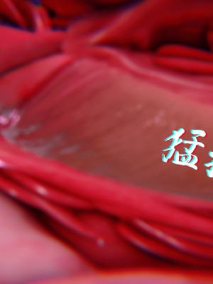 [phloxcc] 對魔忍-不知火篇 1-5_1036
