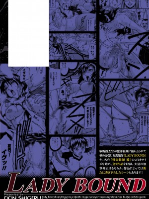 [DON繁] レディバウンド [DL版]_166