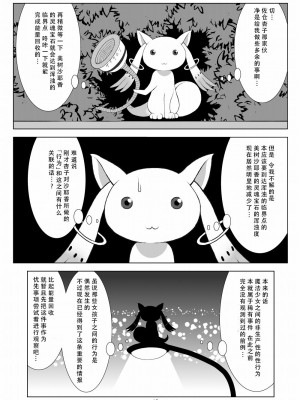 [光と魔法工房 (えむぽん)] ファイナルあんさやー(魔法少女まどか☆マギカ) [漫遊个人汉化] [DL版]_10