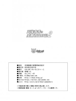 (C91) [ILD CAT (弥猫うた)] 天海春香の変態育成日記2 (アイドルマスター) [白杨汉化组]_28