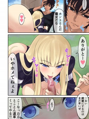 [有幻草原] 親方っ空から魔女がっ_26
