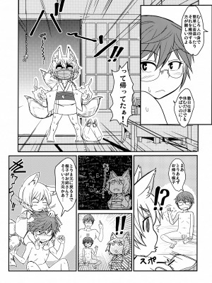 (C102) [端末異常 (BadHand)] 白狐の杜其の拾参_24