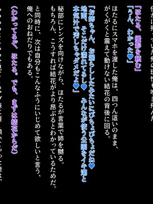 [クレージュアクセル] 続・姉妹ノ楽園～俺の事が大好きすぎる爆乳姉妹とドスケベ合法子作り性活～_320