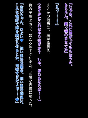 [クレージュアクセル] 続・姉妹ノ楽園～俺の事が大好きすぎる爆乳姉妹とドスケベ合法子作り性活～_341