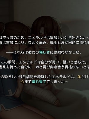 [正経同人(As109)]CITY no.109双子編・貳_256