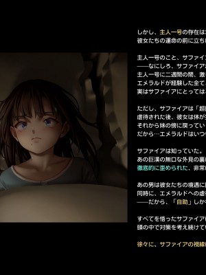 [正経同人(As109)]CITY no.109双子編・貳_267