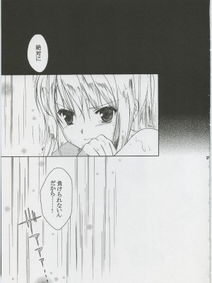 (C65) [AION (天羽真理)] ランダムに咲く野辺の花に (鋼の錬金術師)_26