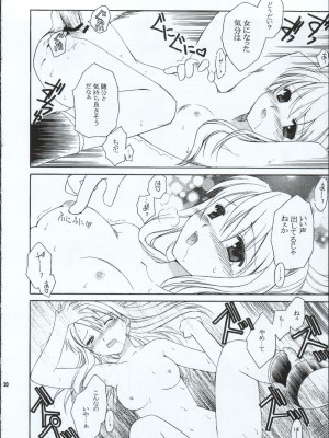 (C65) [AION (天羽真理)] ランダムに咲く野辺の花に (鋼の錬金術師)_19
