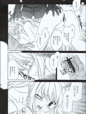 (C65) [AION (天羽真理)] ランダムに咲く野辺の花に (鋼の錬金術師)_11