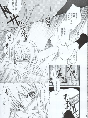 (C65) [AION (天羽真理)] ランダムに咲く野辺の花に (鋼の錬金術師)_20