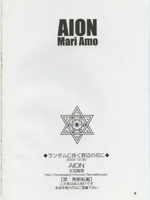 (C65) [AION (天羽真理)] ランダムに咲く野辺の花に (鋼の錬金術師)_29