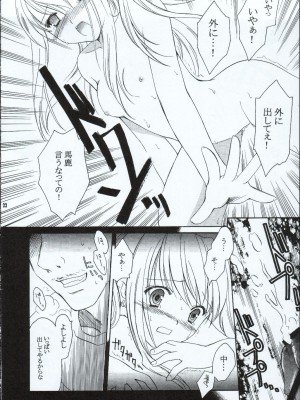 (C65) [AION (天羽真理)] ランダムに咲く野辺の花に (鋼の錬金術師)_21