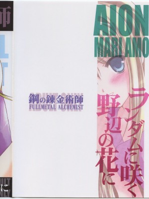 (C65) [AION (天羽真理)] ランダムに咲く野辺の花に (鋼の錬金術師)_30