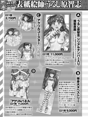 コミックマショウ 2024年2月号 [DL版]_260