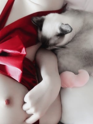 恶犬 - 礼物套_027