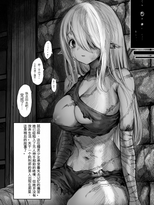 [ぎばちゃん] ボロボロにされるエルフさん過去編[配菜機翻漢化組]_044
