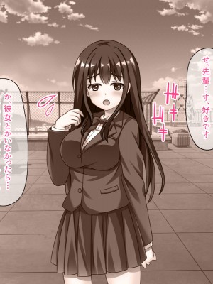 (同人CG集) [スクランブルミートボール] ヤリマンじゃないもん_004