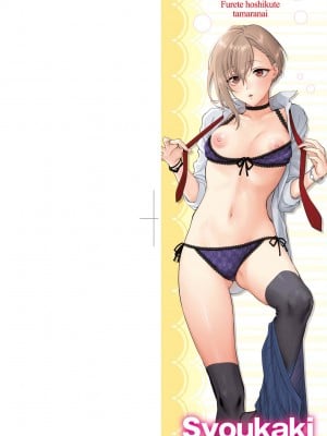 [消火器] ふれてほしくて たまらない [中国翻訳] [無修正] [DL版]_003