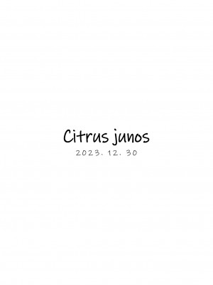 [Citrus junos (ゆーね)]ホシノと恋人になったから即セックス(ブルーアーカイブ)_24