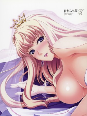(C82) [けもこも屋 (こもりけい)] しぇりるのるるる (マクロスフロンティア)_28