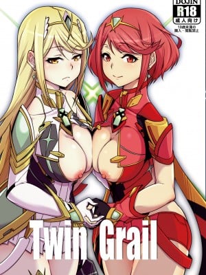 [白い闇 (k-you)] Twin Grail (ゼノブレイド2) [DL版] [甜族星人x我不看本子汉化]