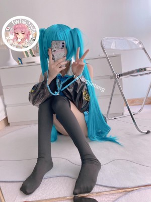 二阶堂(宅绘子) - 初音未来_013