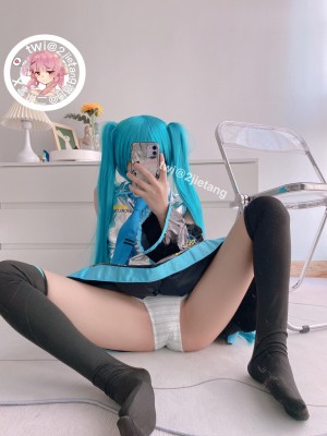二阶堂(宅绘子) - 初音未来_027