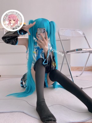 二阶堂(宅绘子) - 初音未来_011
