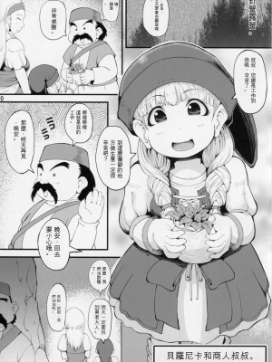 (C93) [裏火竜 (いぶきち)] D級ムフフ本 (ドラゴンクエストXI)[配菜機翻漢化組]_019
