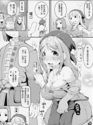 (C93) [裏火竜 (いぶきち)] D級ムフフ本 (ドラゴンクエストXI)[配菜機翻漢化組]_027