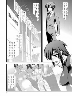 [龍企画 (龍炎狼牙)]FARFALLA 総集篇_006