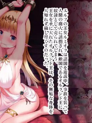 [セブンデイズホリディ (篠川あるみ、古我望)] 王女征服 [DL版]_17
