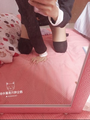 水酱是胖企鹅 - 猫猫上衣_020
