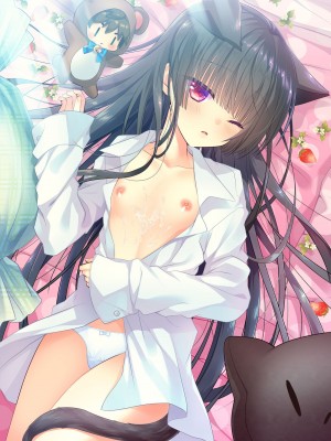 [たそもれら (泉水真琴)] おやすみねこえっち [DL版]_61