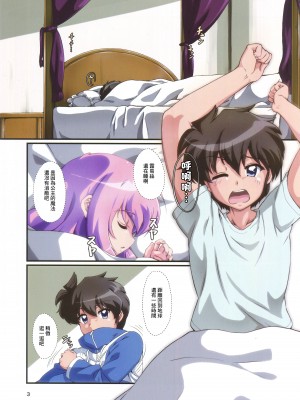 (C102) [ももしば杏子 (なふたん)] 帰宅寸前その2 (ゼロの使い魔) [中国翻訳]_02