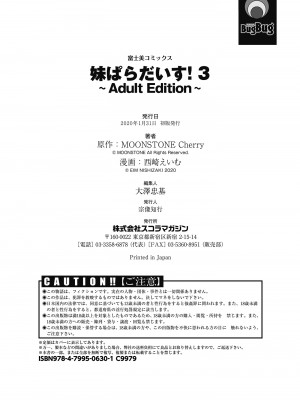 [西崎えいむ] 妹ぱらだいす! 3 ～Adult Edition～_194