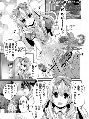 [西崎えいむ] 妹ぱらだいす! 3 ～Adult Edition～_045