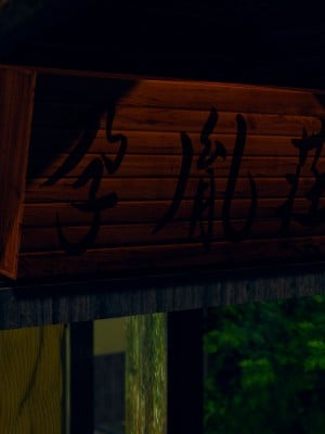 [dfifuw98] 一日一名様限定 癒しの秘湯旅館（一日目・昼の部・夜の部）_010_101975121_p9
