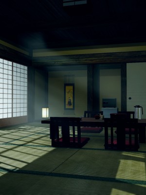 [dfifuw98] 一日一名様限定 癒しの秘湯旅館（一日目・昼の部・夜の部）_015_101975121_p14
