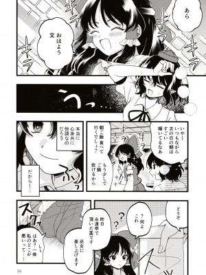 (第百三十八季 文々。新聞友の会) [seseri (守崎)] ルベウスの寛解 (東方Project)_33