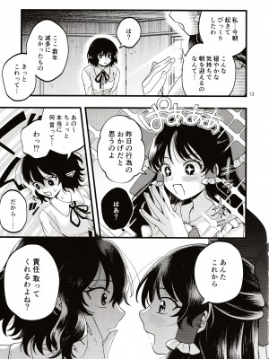 (第百三十八季 文々。新聞友の会) [seseri (守崎)] ルベウスの寛解 (東方Project)_12