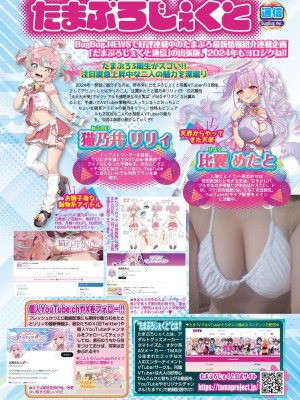 BugBug 2024年3月号 [DL版]_108